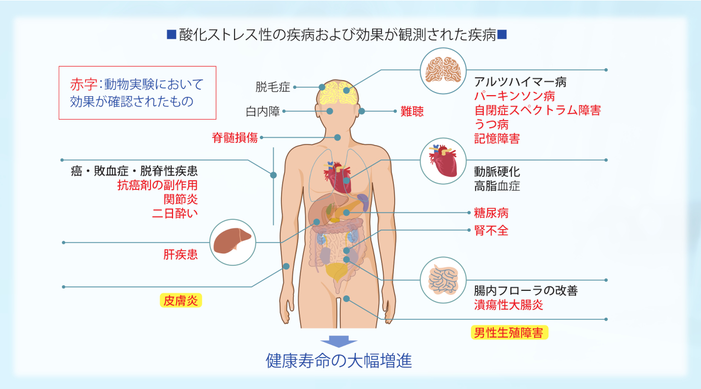 酸化ストレス性の疾病とそれザウスの効果が観測された疾病
